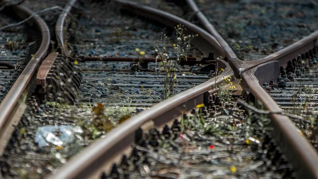 Close de um desvio de trilhos de trem onde dois caminhos se cruzam, com mato e pequenas flores amarelas entre os dormentes
